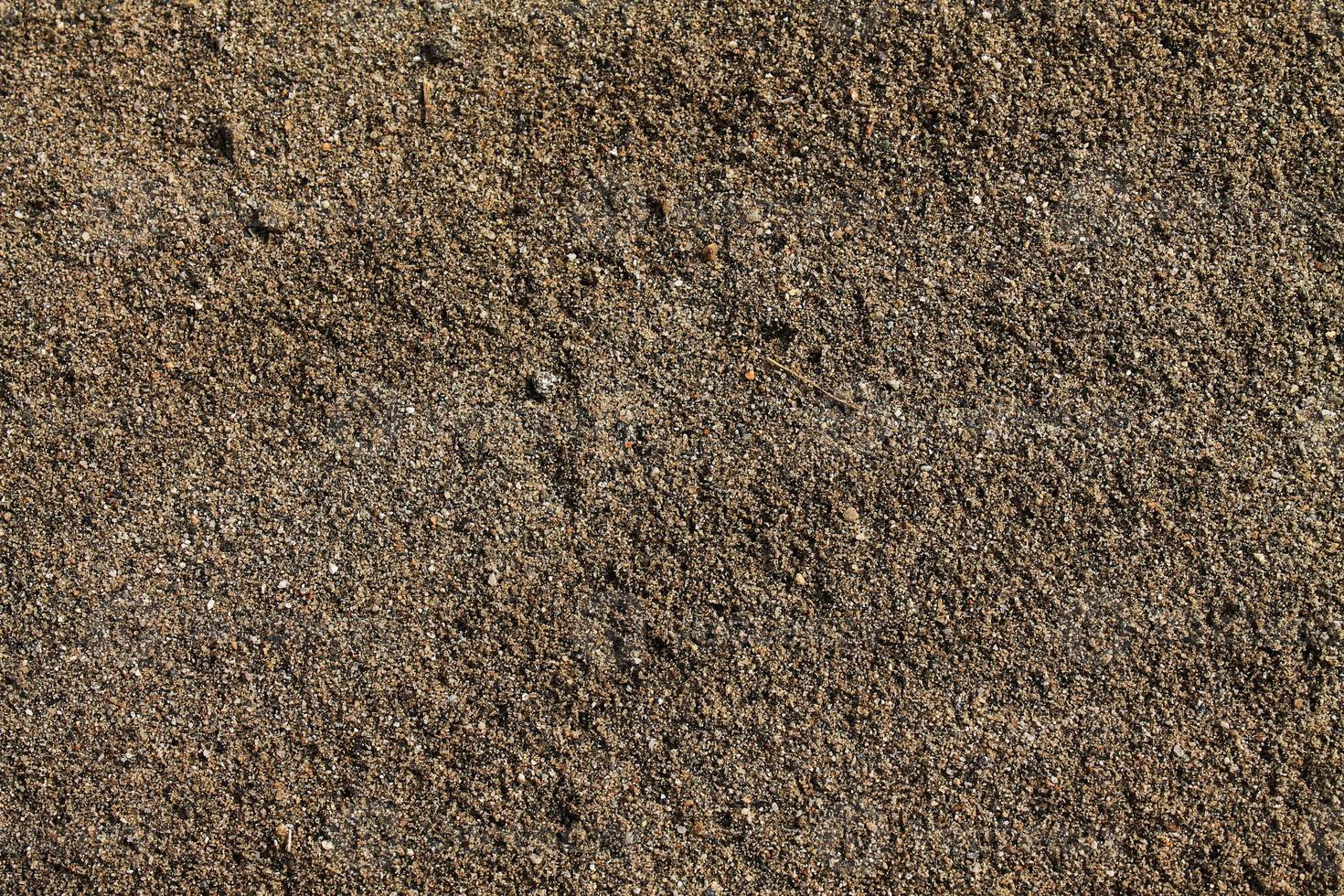 Brown Sand Texture photo