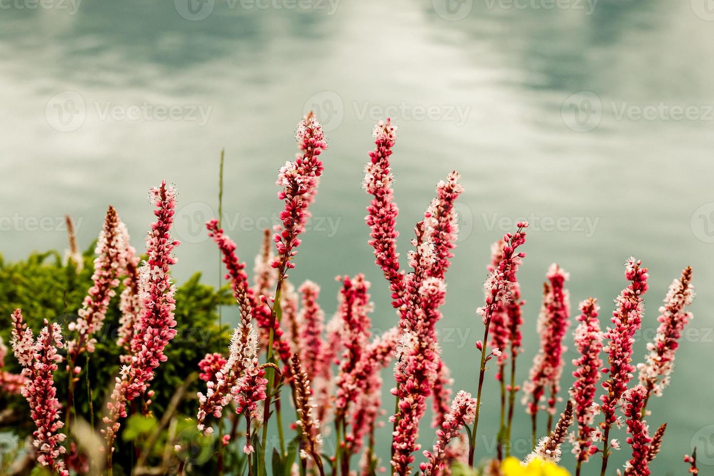 Kumrat Valley Beautiful Landscape Mountains View photo