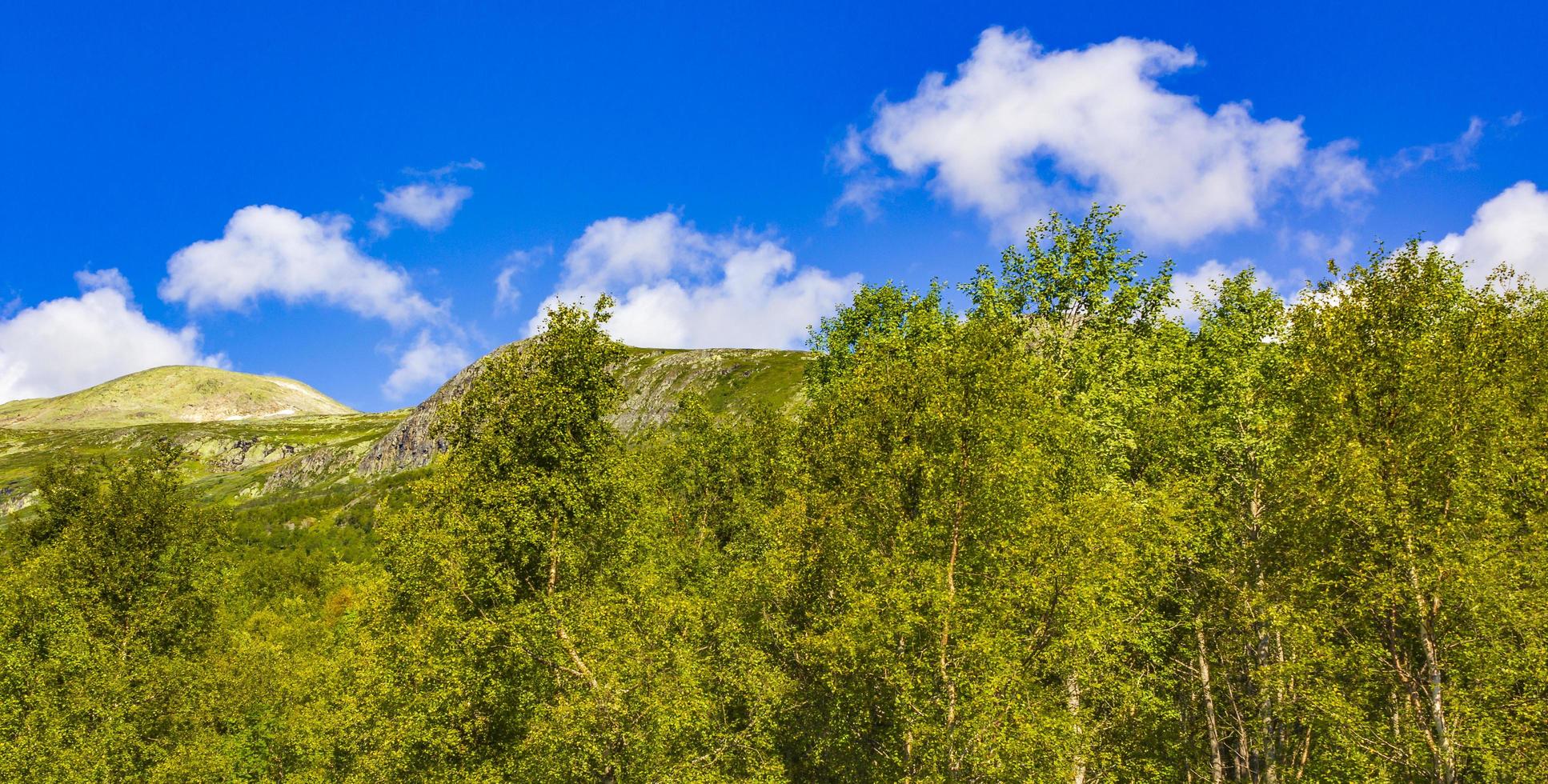 Panorama de paisaje de montaña y bosque en día soleado vang noruega foto