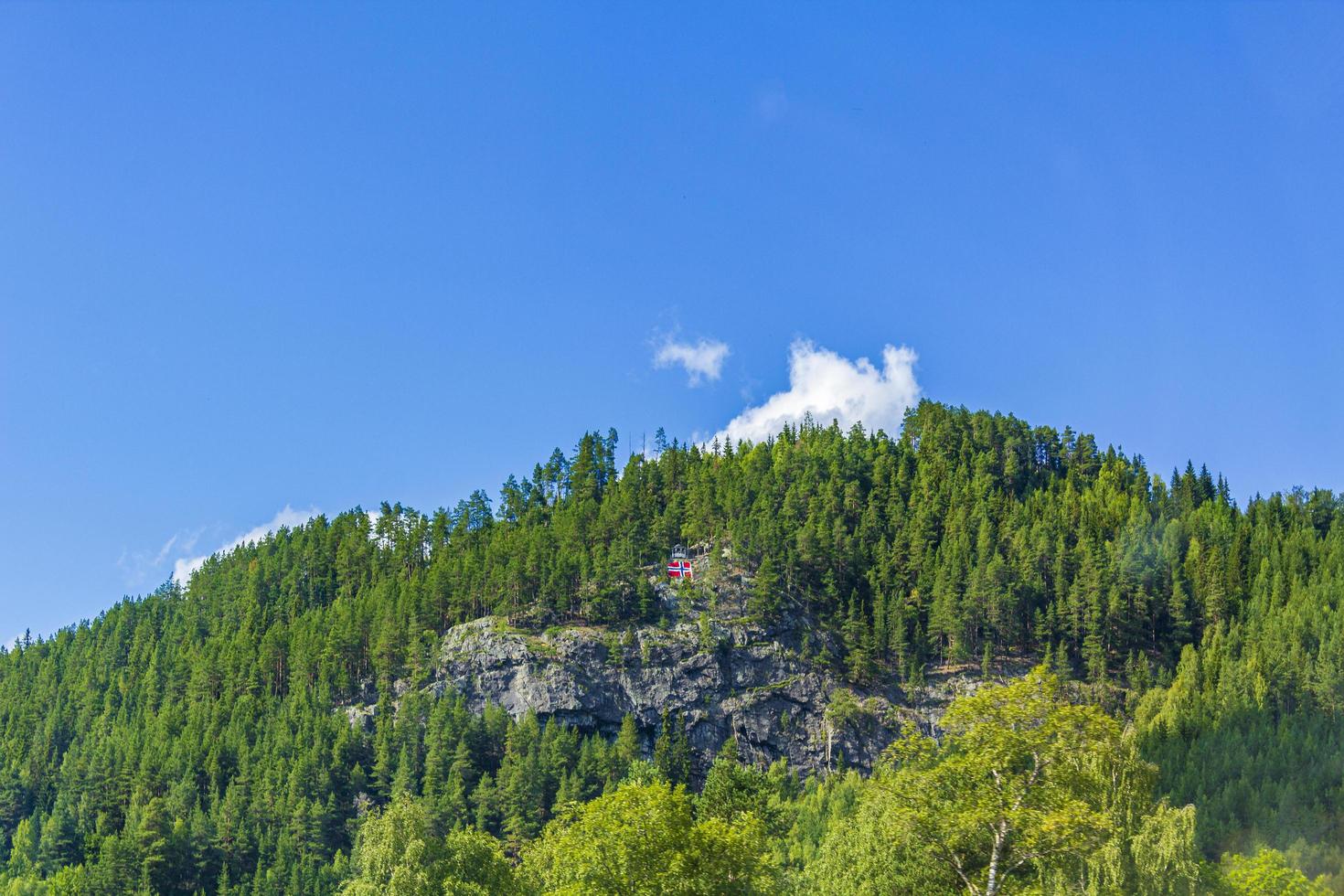 Norwegian flag on a wooded hill in the village photo