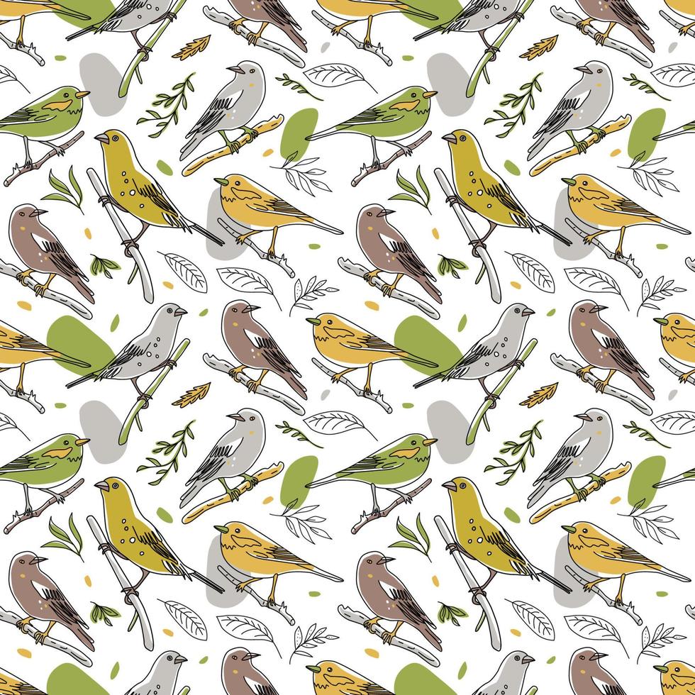Bird illustration seamless pattern. Collection of cute hand drawn bird doodles. Line style in minimalism on white vector picture