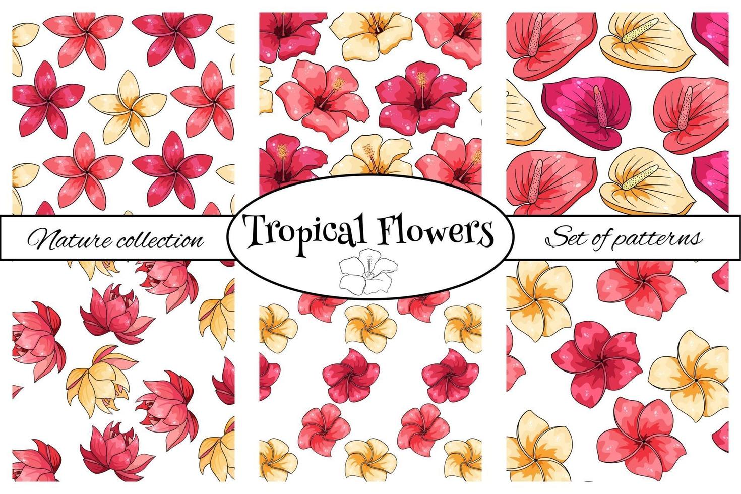 Tropical pattern with exotic plants flowers and leaves in cartoon style vector