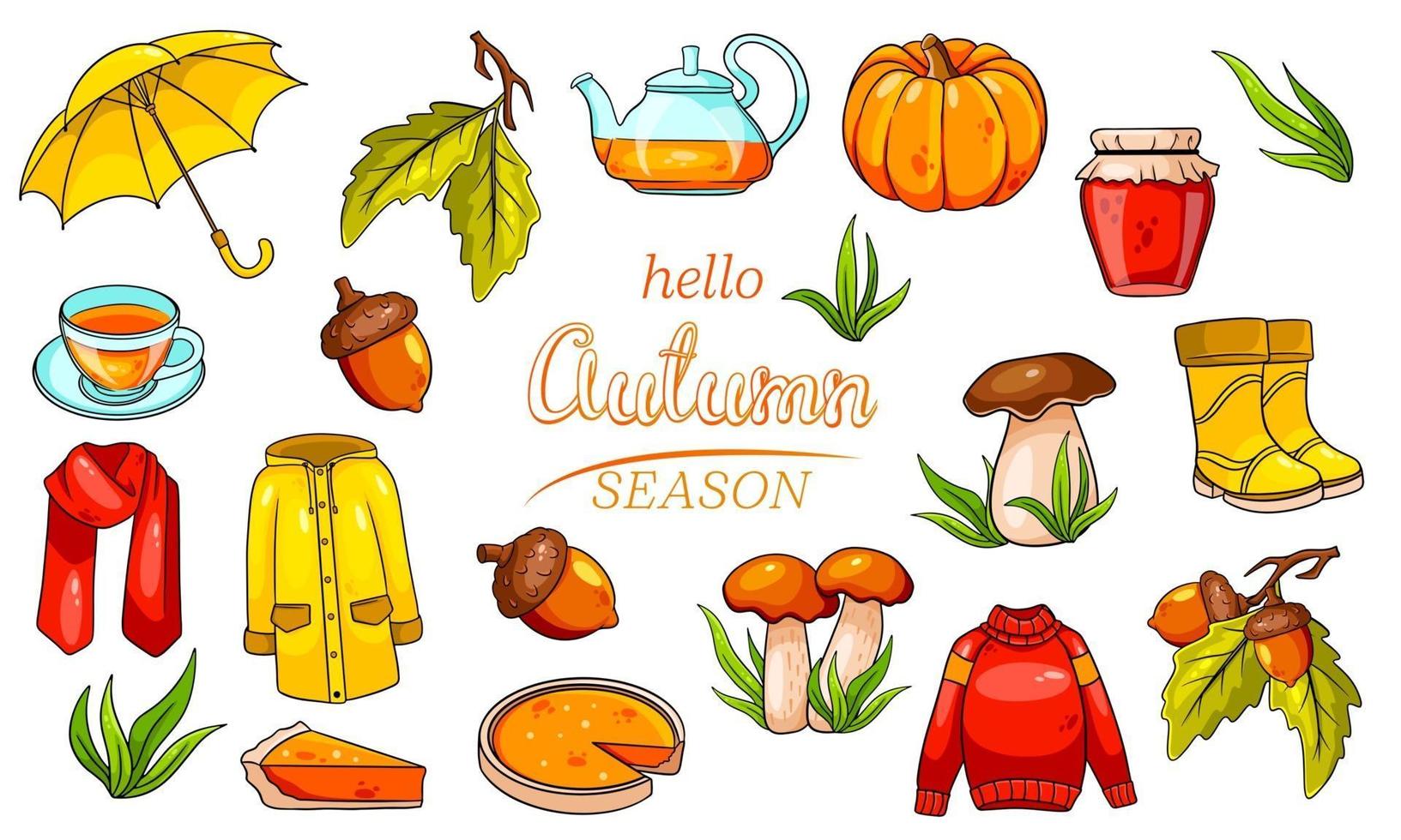 Autumn set. Large collection of autumn items. vector