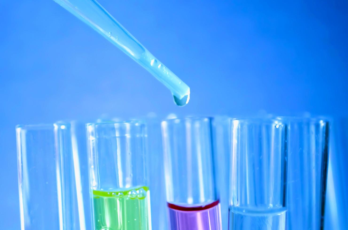 test tubes with liquid in laboratory photo