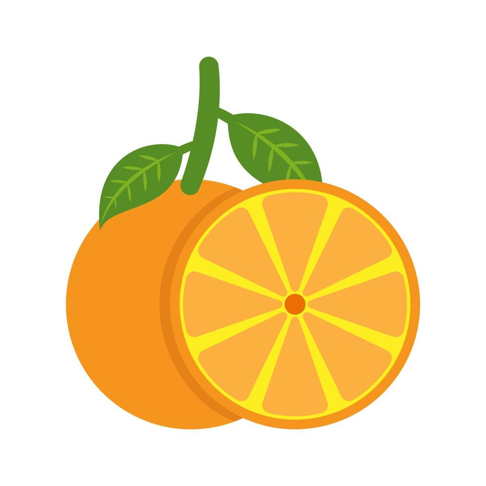 Vector illustration of orange fruit cut icon