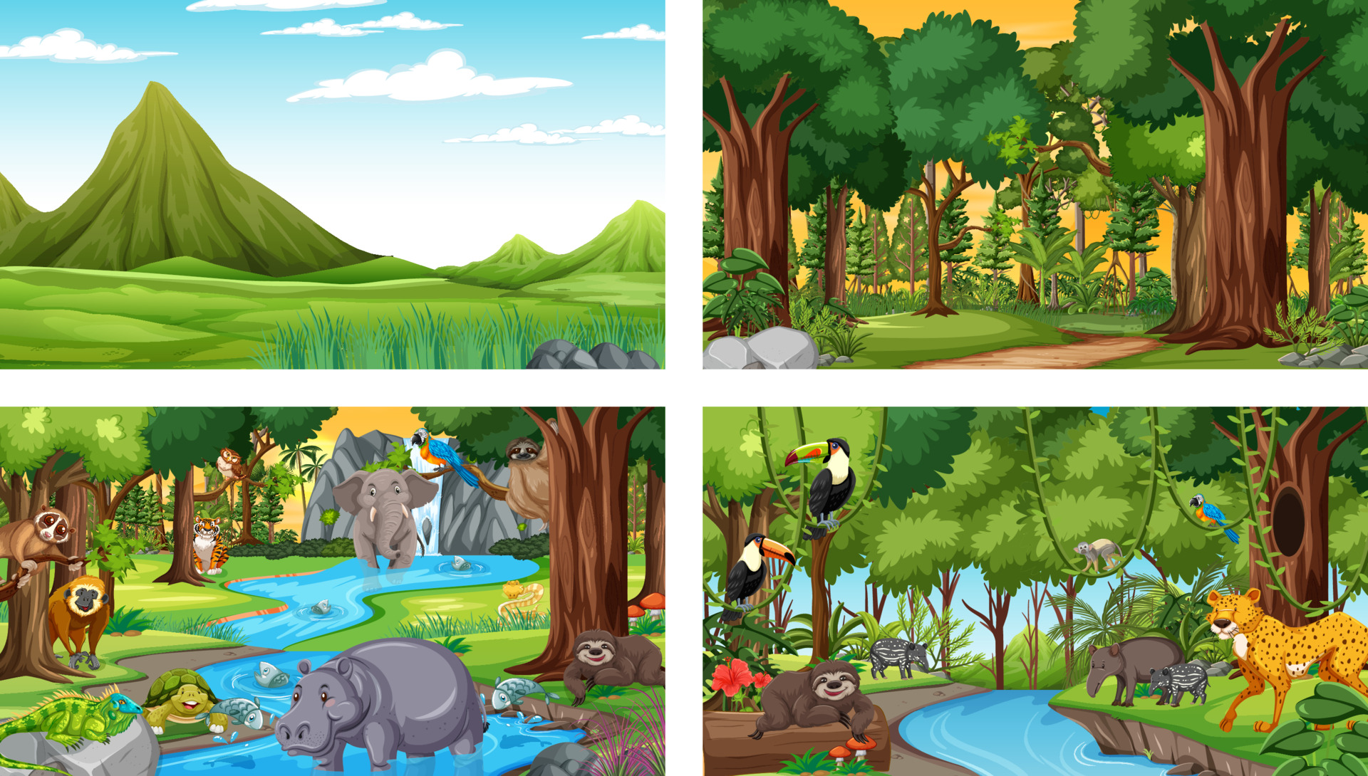 Different nature scenes of forest and rainforest with wild animals 3601248  Vector Art at Vecteezy