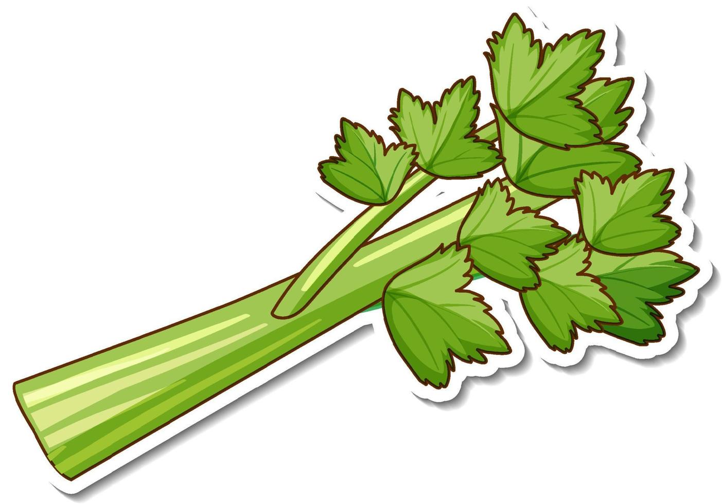 Pegatina de hierba de cilantro sobre fondo blanco. vector