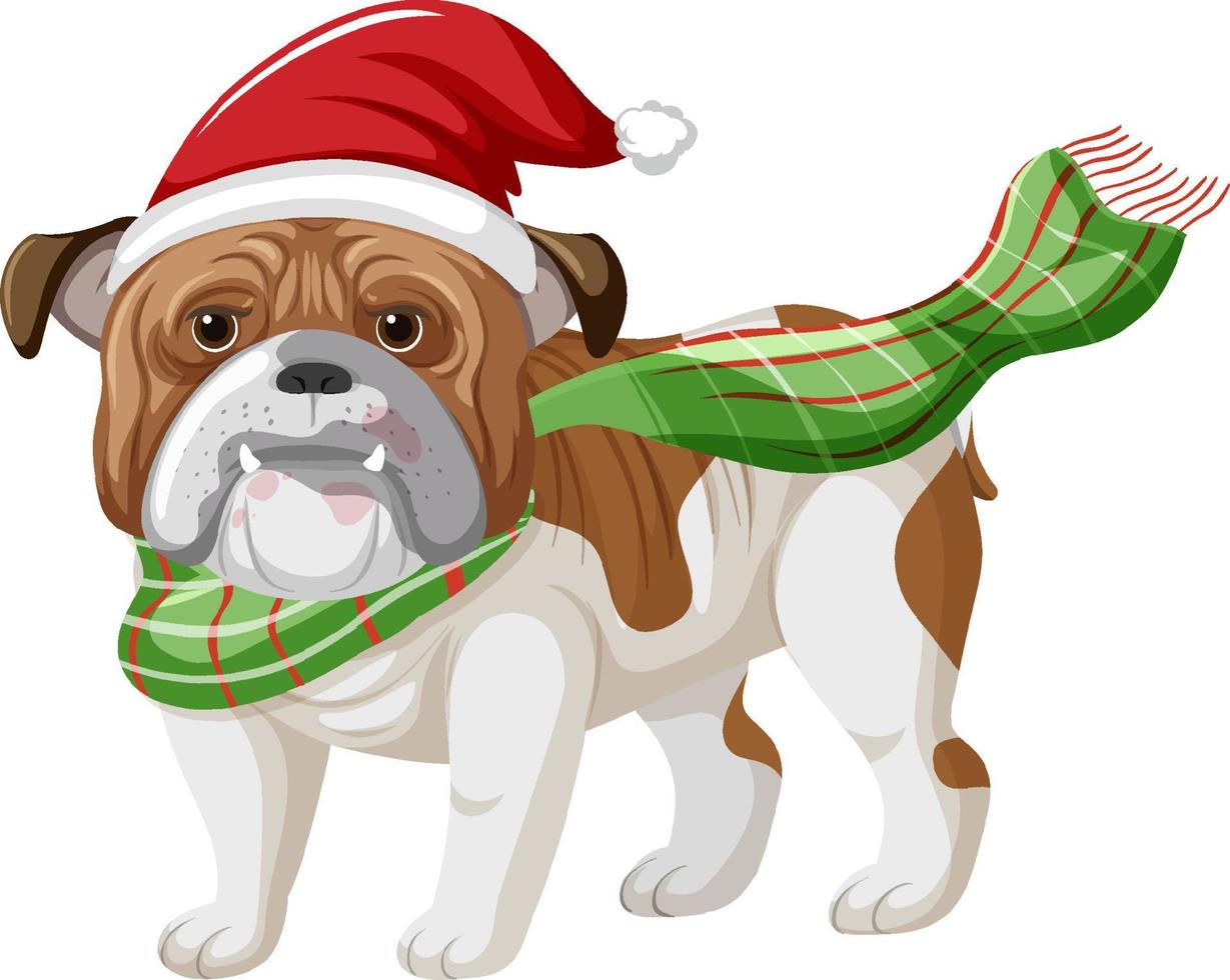 Bulldog wearing Christmas hat cartoon character vector