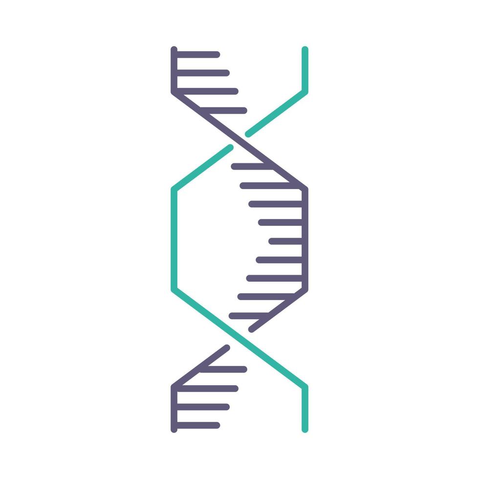 Hexagonal DNA helix violet and turquoise color icon vector