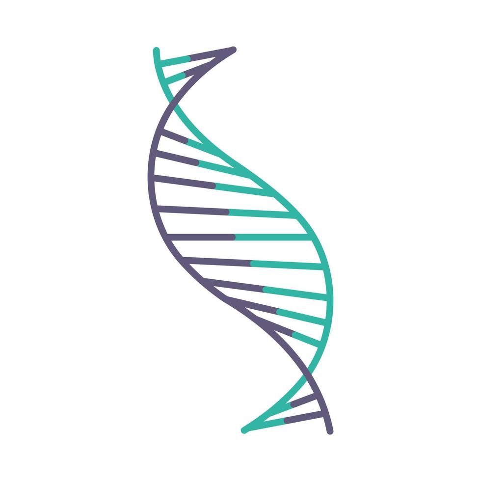 DNA spiral strand violet and turquoise color icon vector