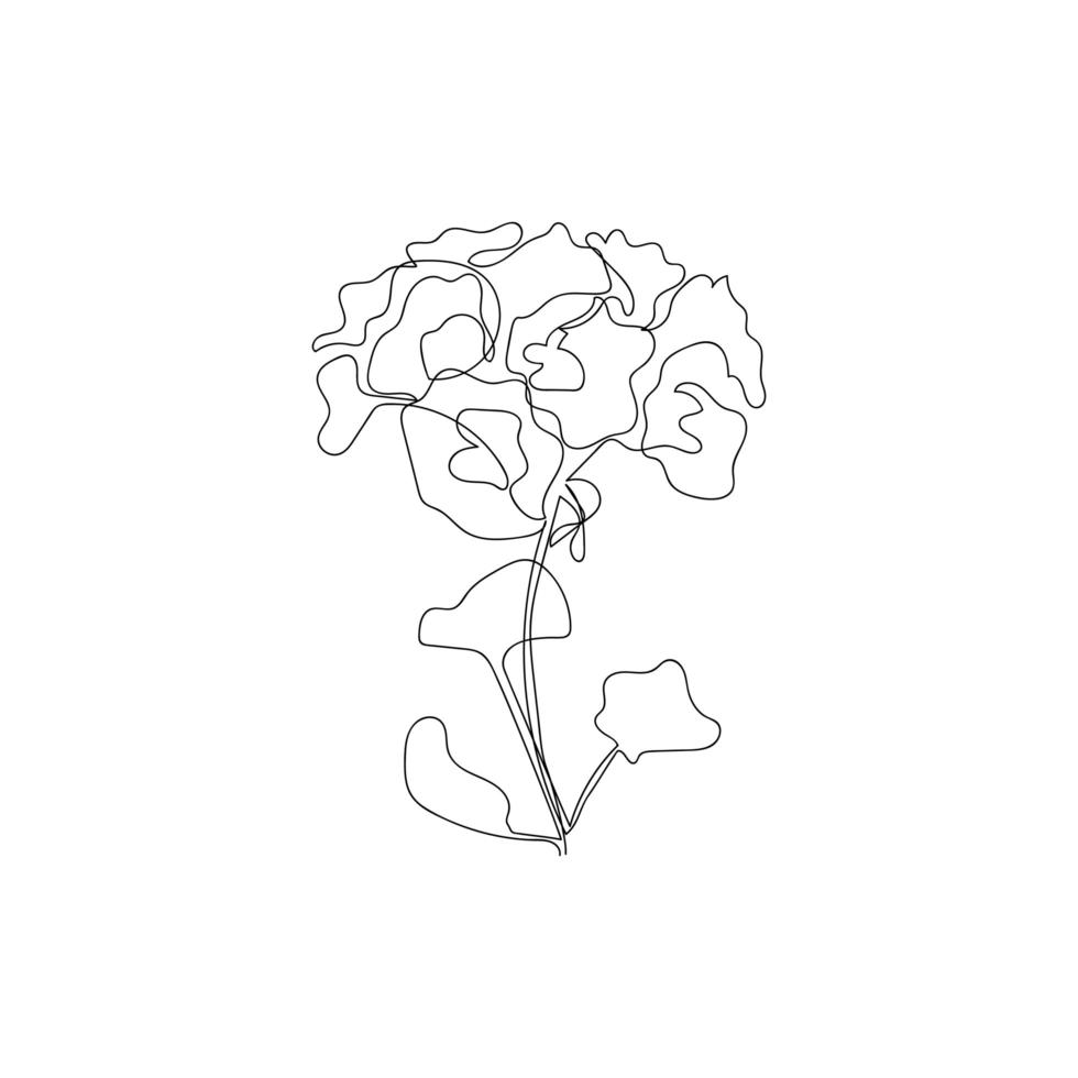 geranio continuo de una línea, flor de pelargonio. flor de estilo moderno para logotipo, emblema de icono o banner web. Ilustración de vector de estilo minimalista dibujado a mano.