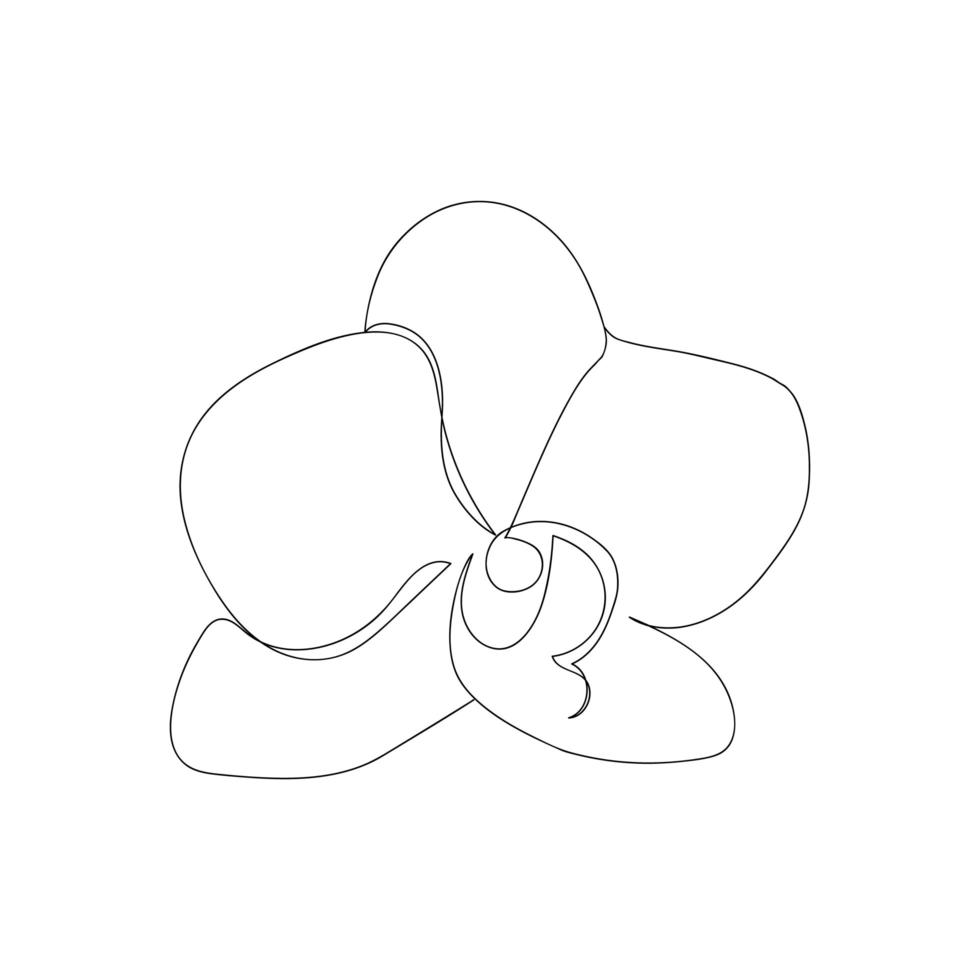 Flor de orquídea Phalaenopsis continua de una línea. flor de estilo moderno para logotipo, emblema de icono o banner web. Ilustración de vector de estilo minimalista dibujado a mano.