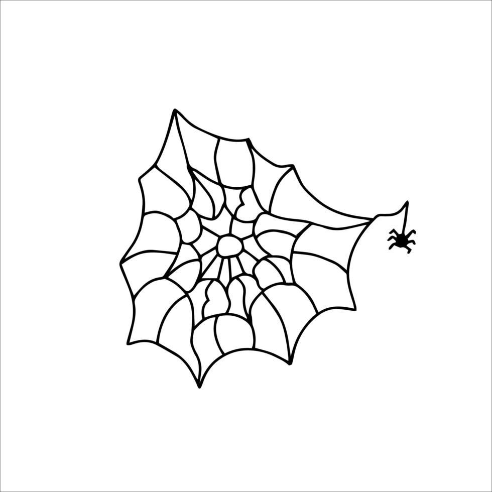 Cute little spider in his web. Halloween holiday concept. Black outline doodle. Vector illustration, flat, clip art, linear.