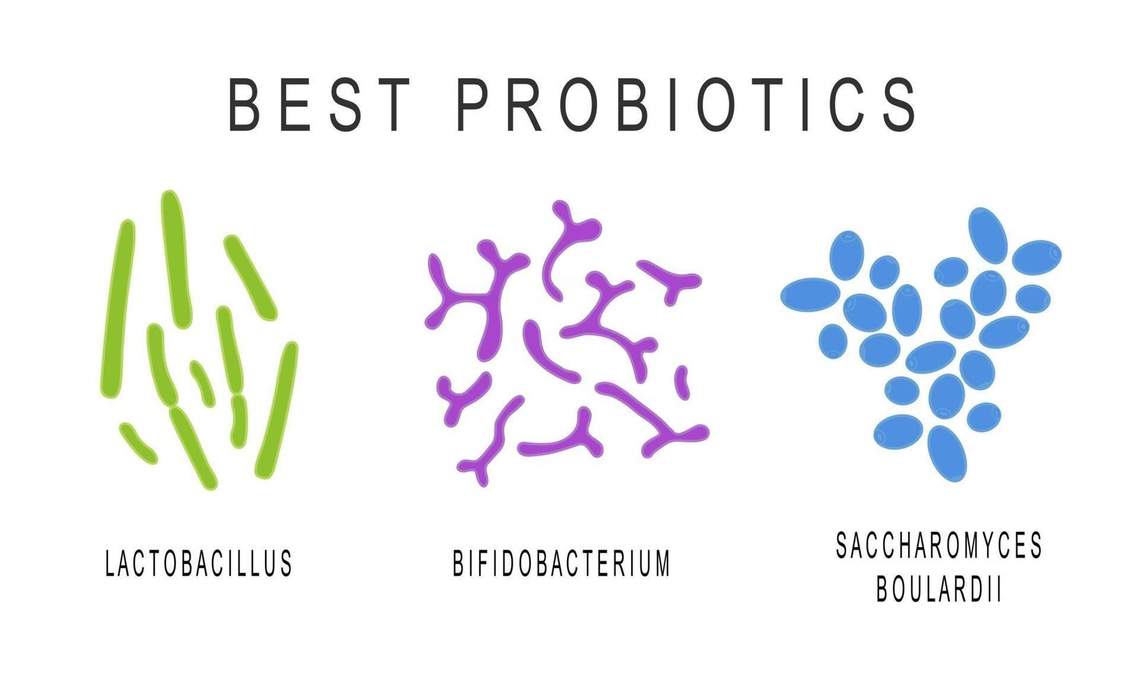 Set of probiotics, beneficial bacterias for human health and beauty. Good microorganisms under microscop vector