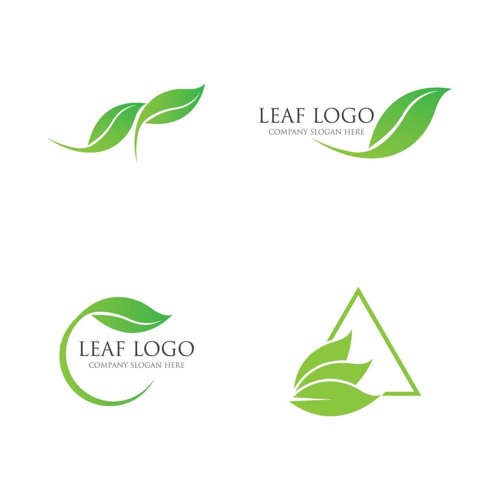 green leaf logo vector