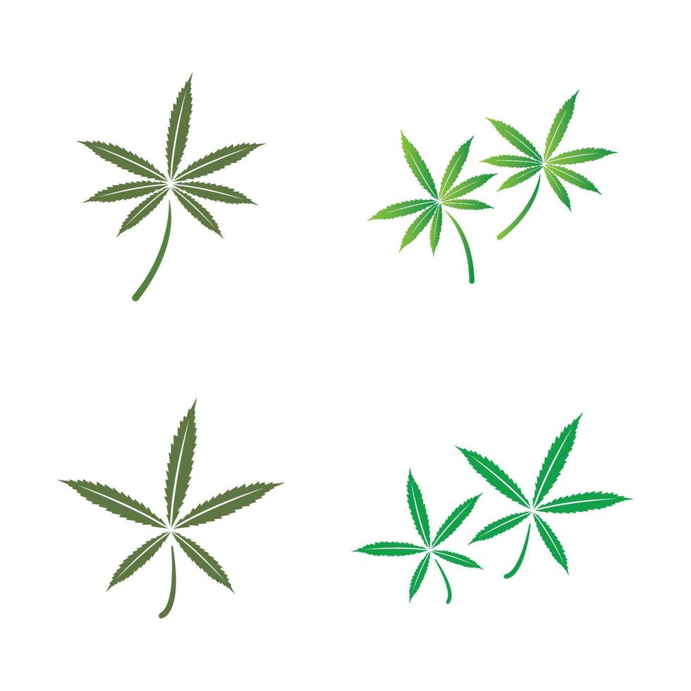 cannabis leaf logo vector
