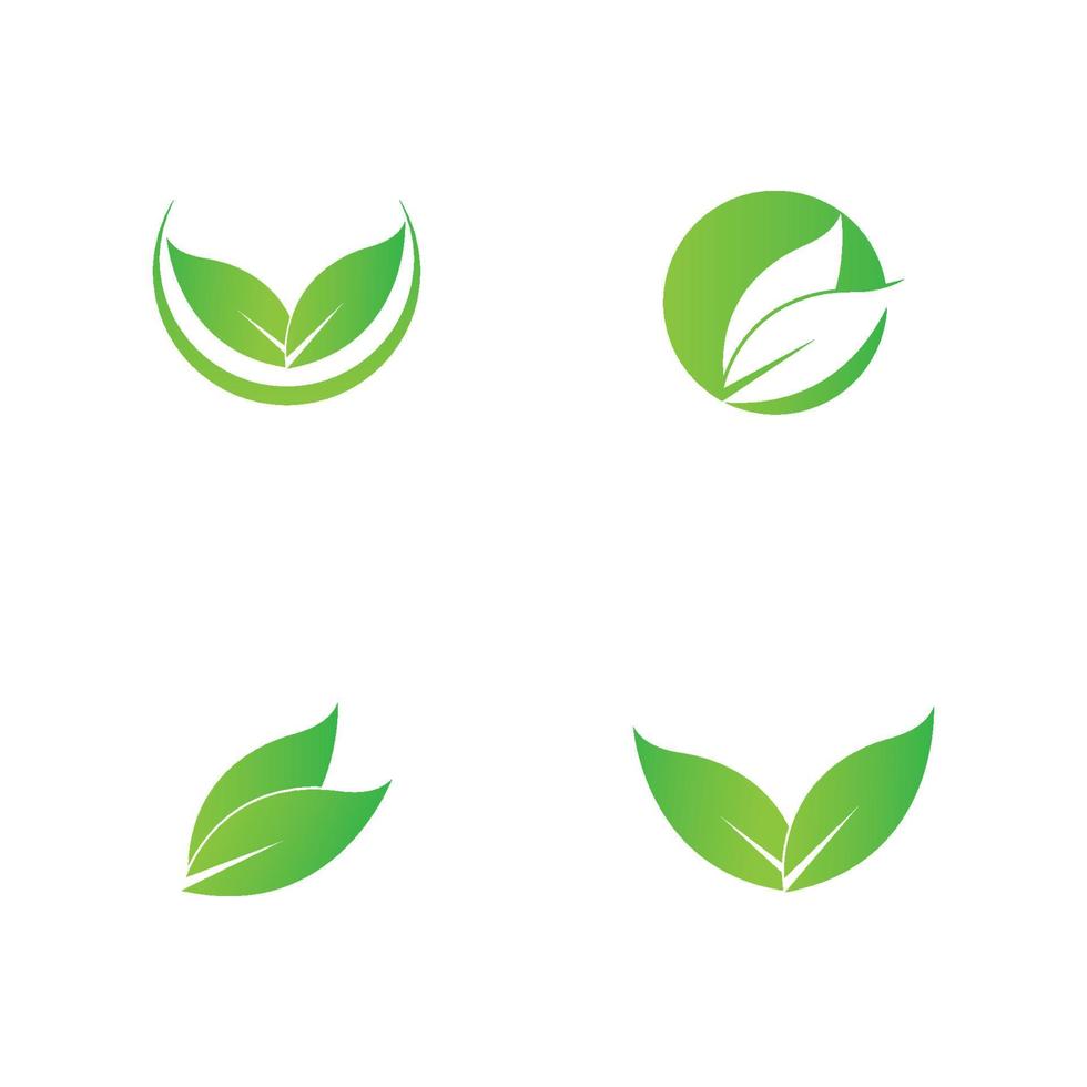 green leaf logo vector