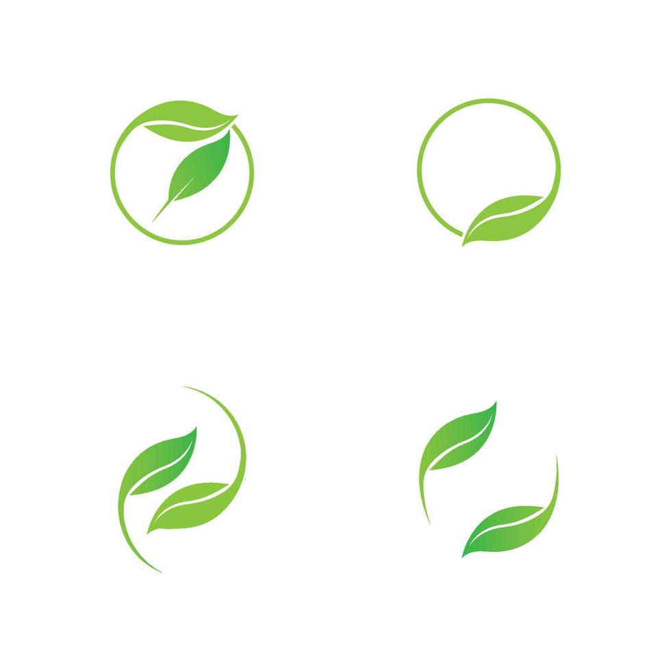 logo de hoja verde vector