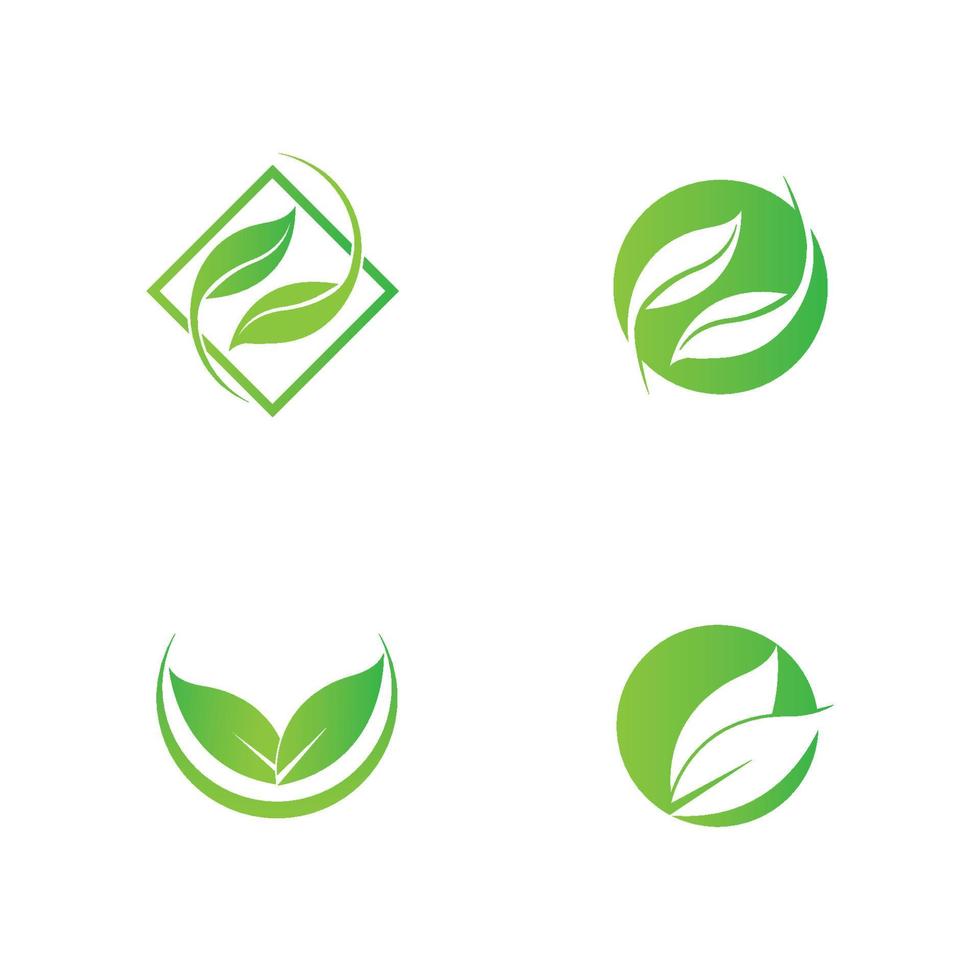 green leaf logo vector