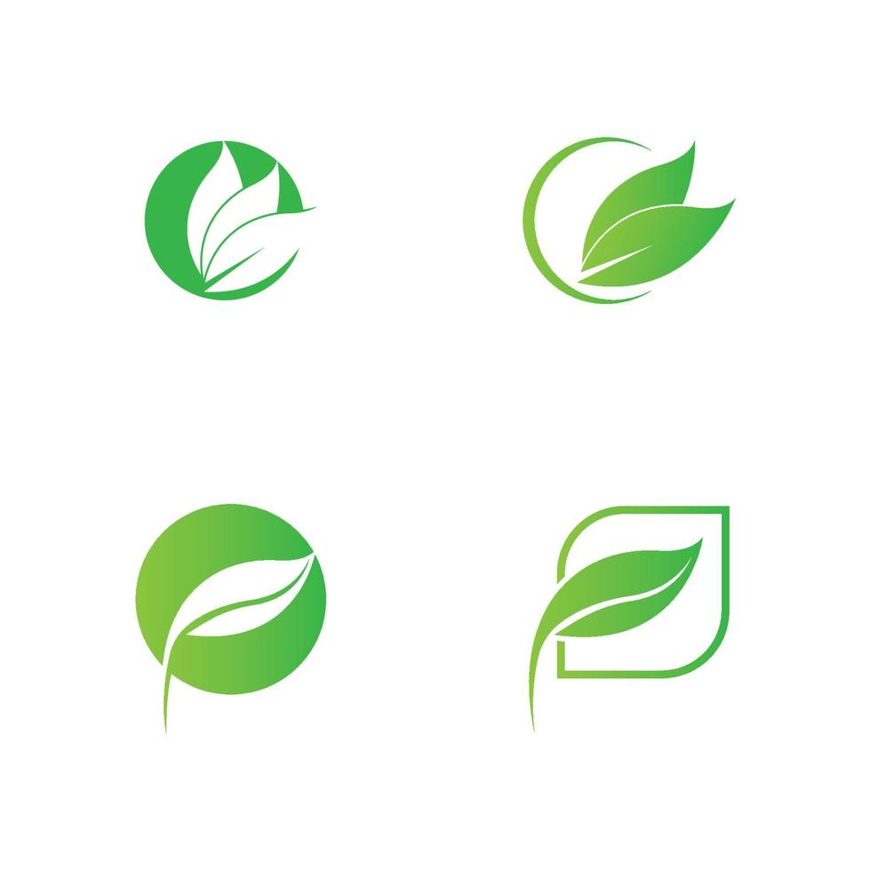 green leaf logo vector