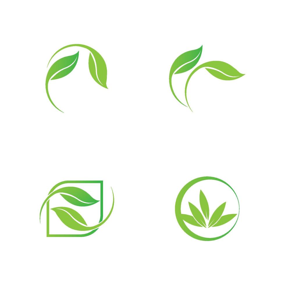 green leaf logo vector