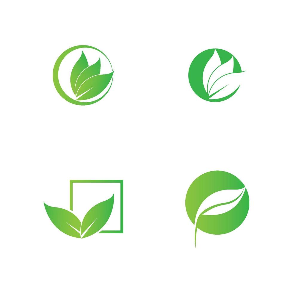 green leaf logo vector