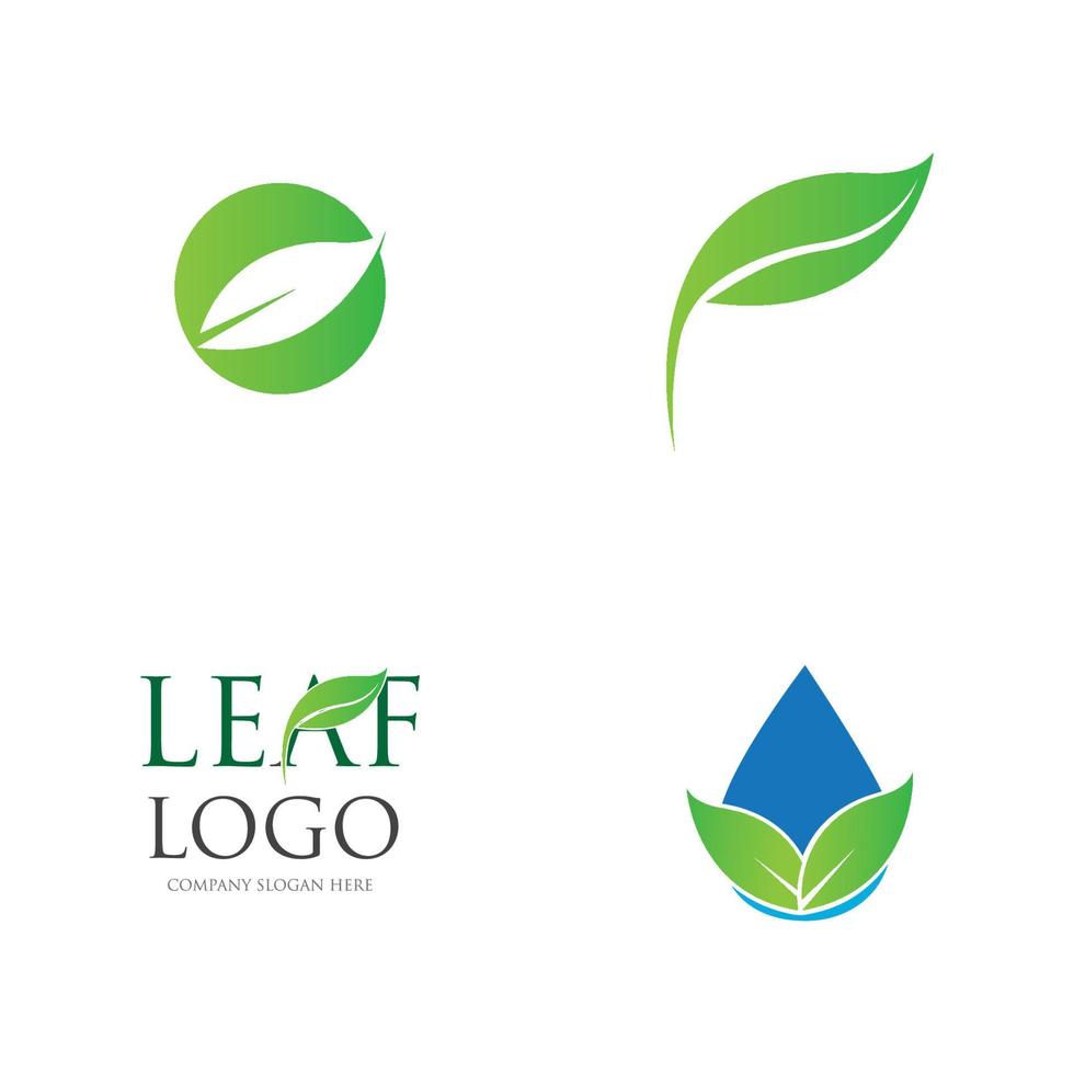 green leaf logo vector