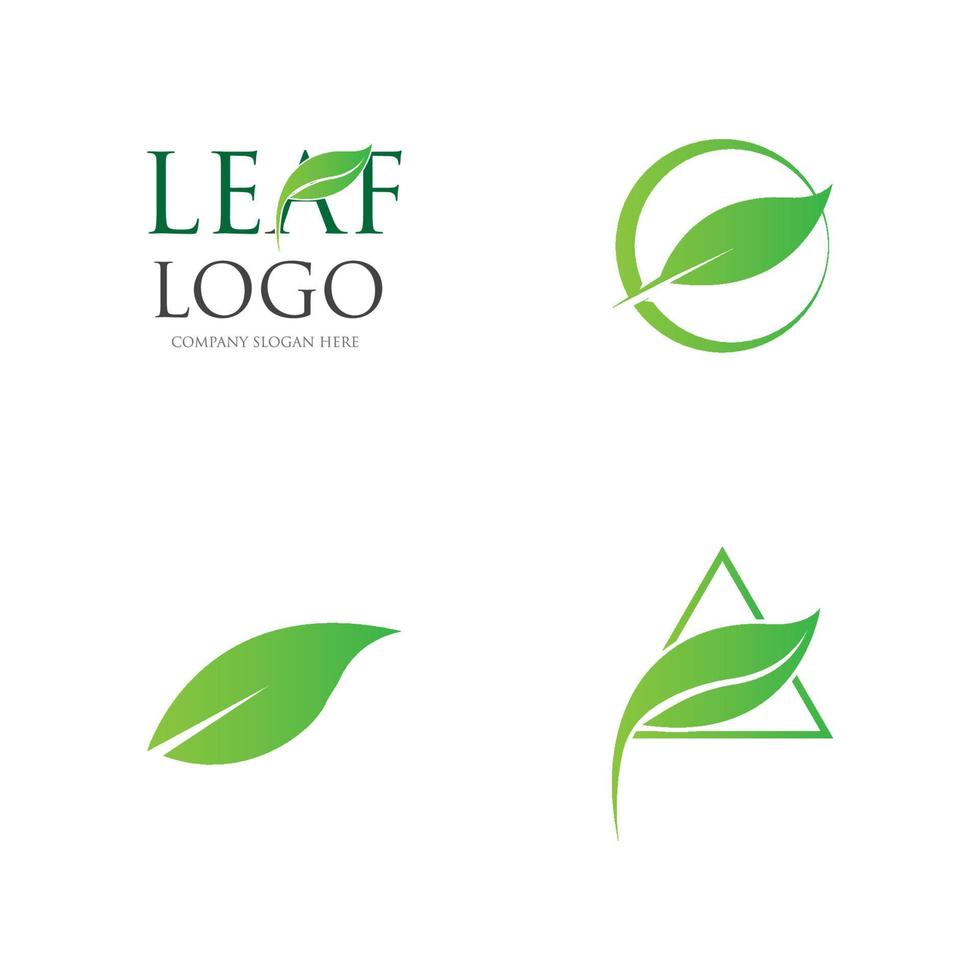 green leaf logo vector