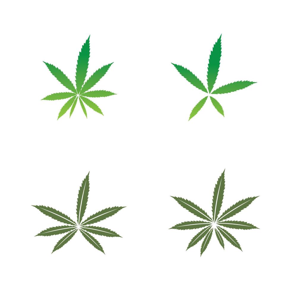 cannabis leaf logo vector