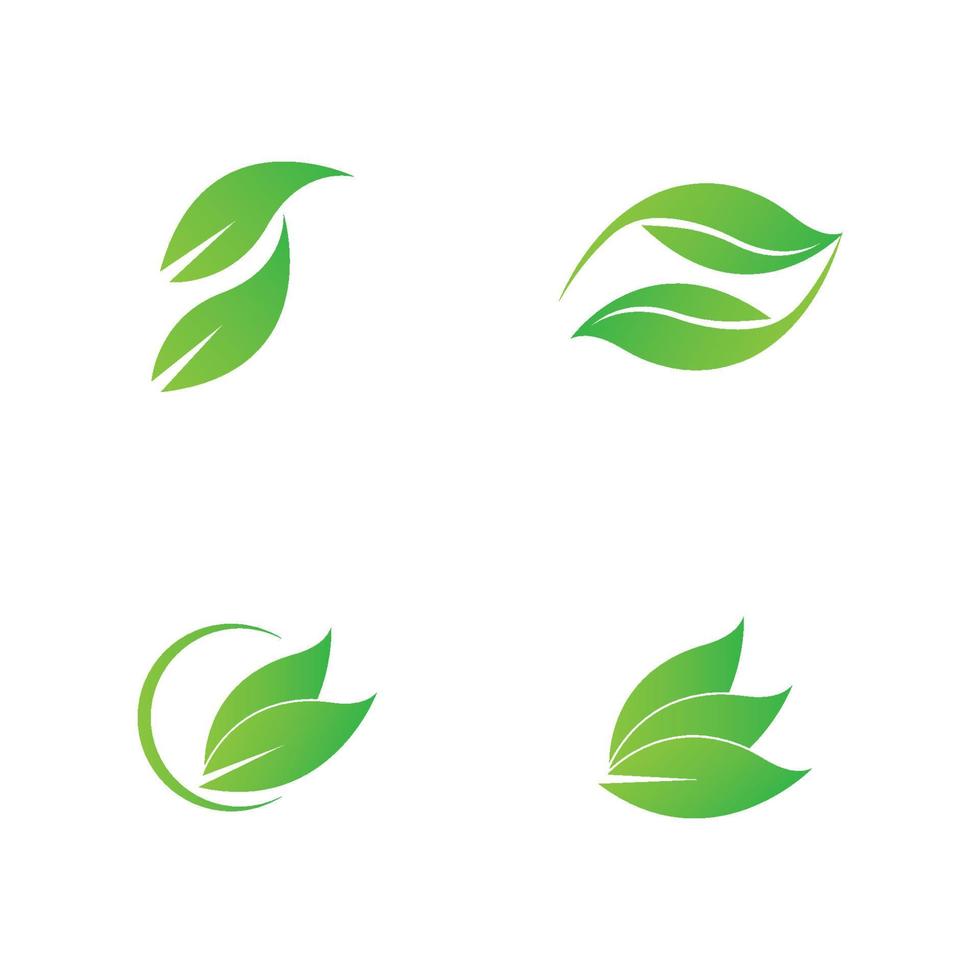 green leaf logo vector