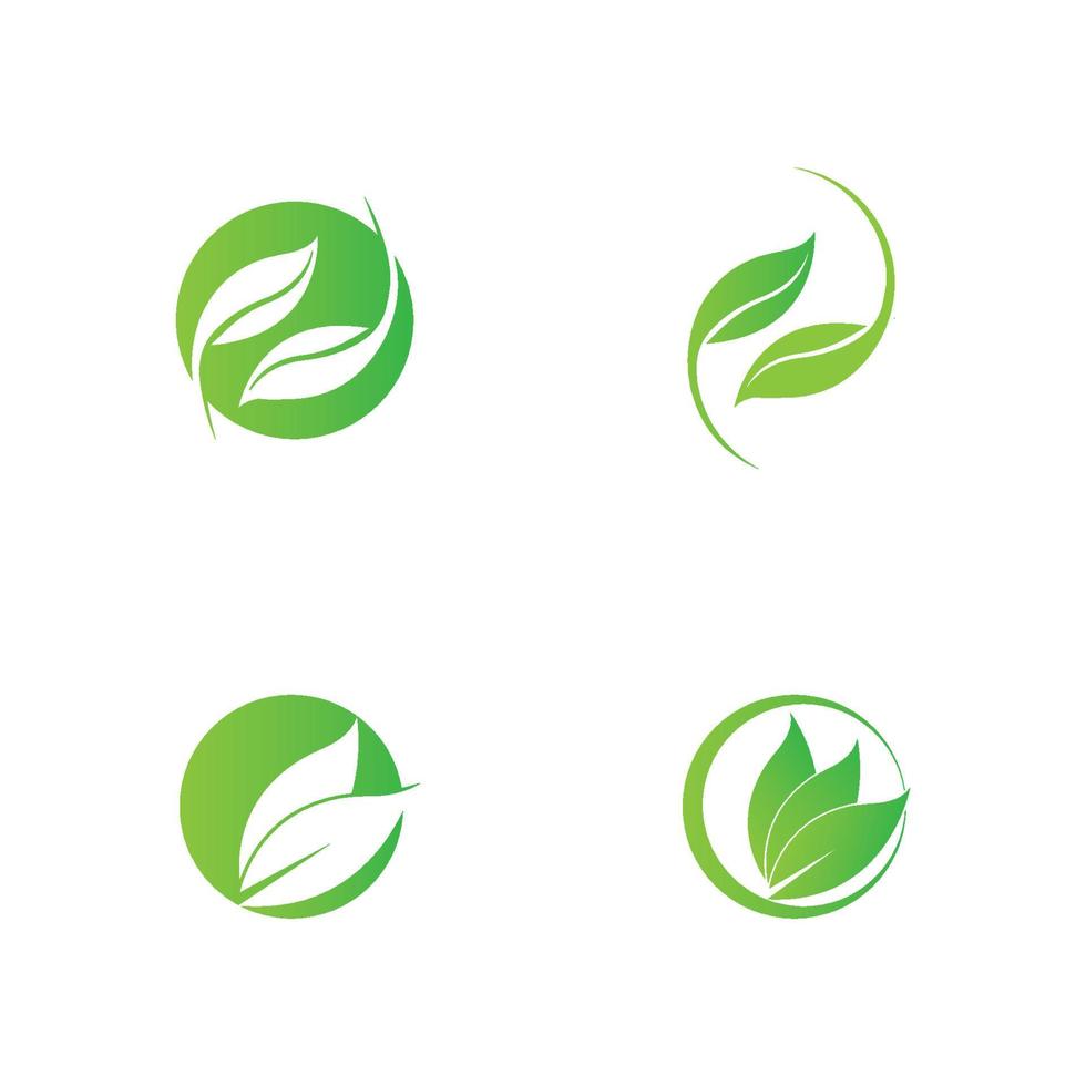 green leaf logo vector