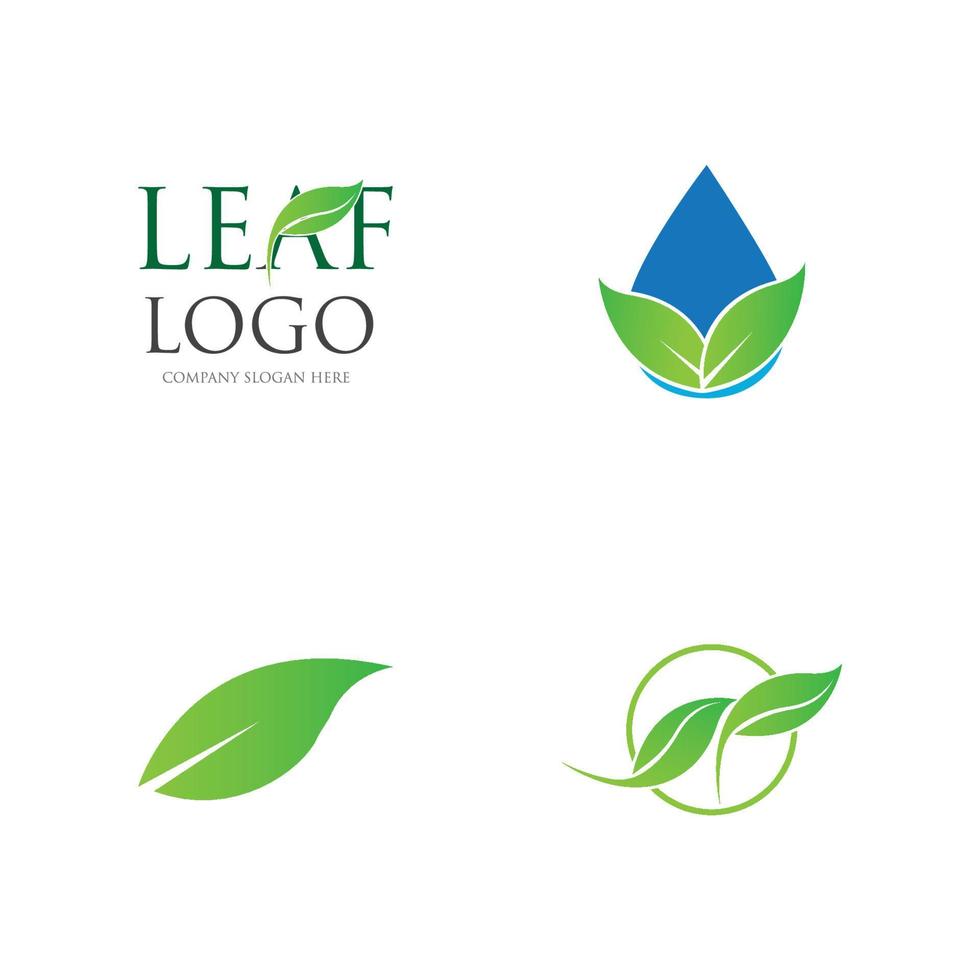 green leaf logo vector