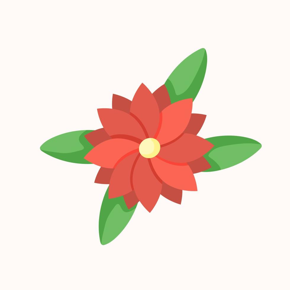 flor de navidad aislado ilustración vectorial vector