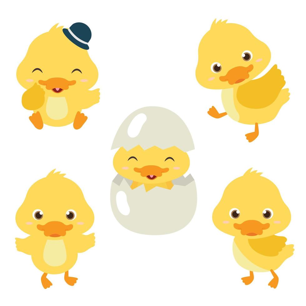 lindo bebé pato vector