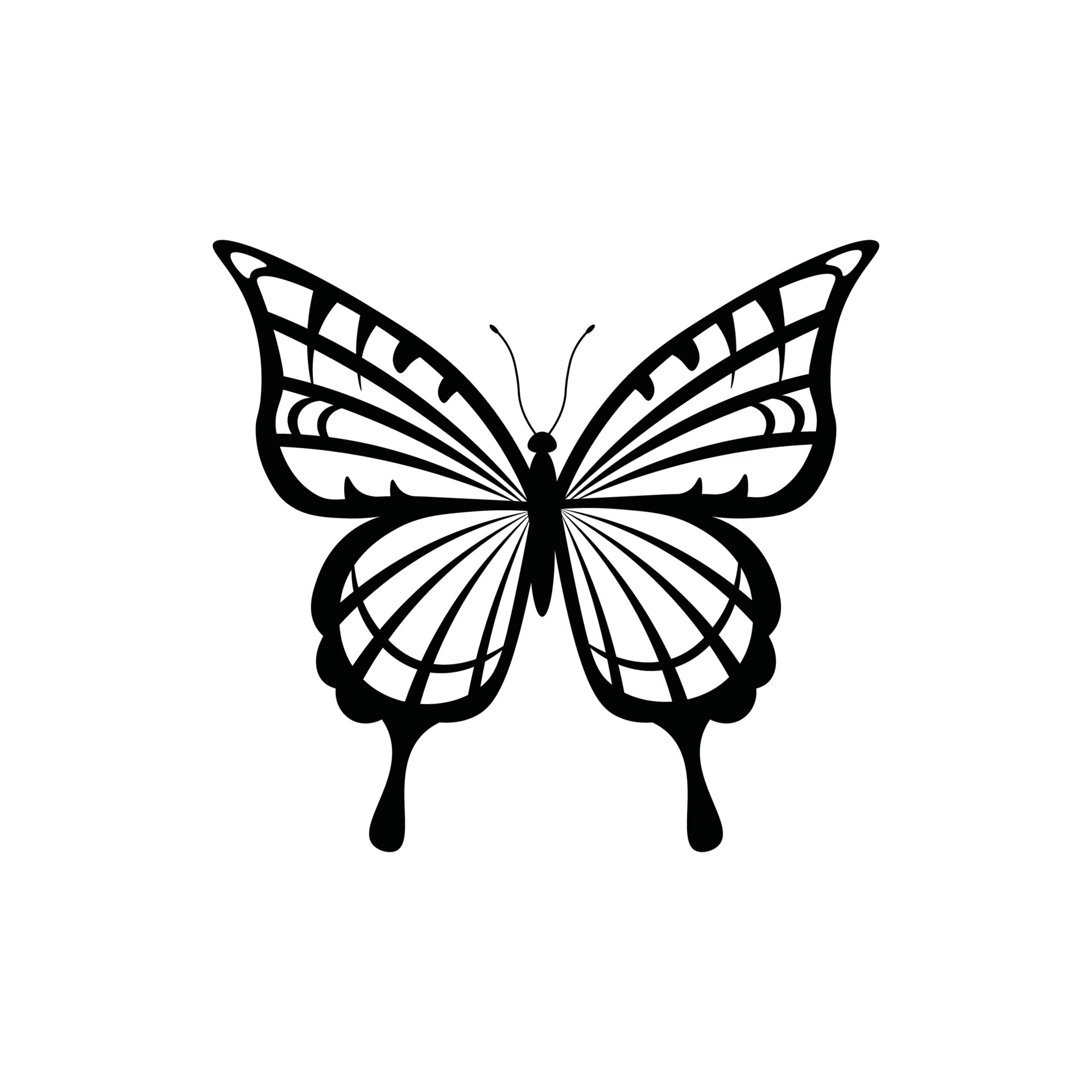 butterfly outline vector art icons and graphics for free download