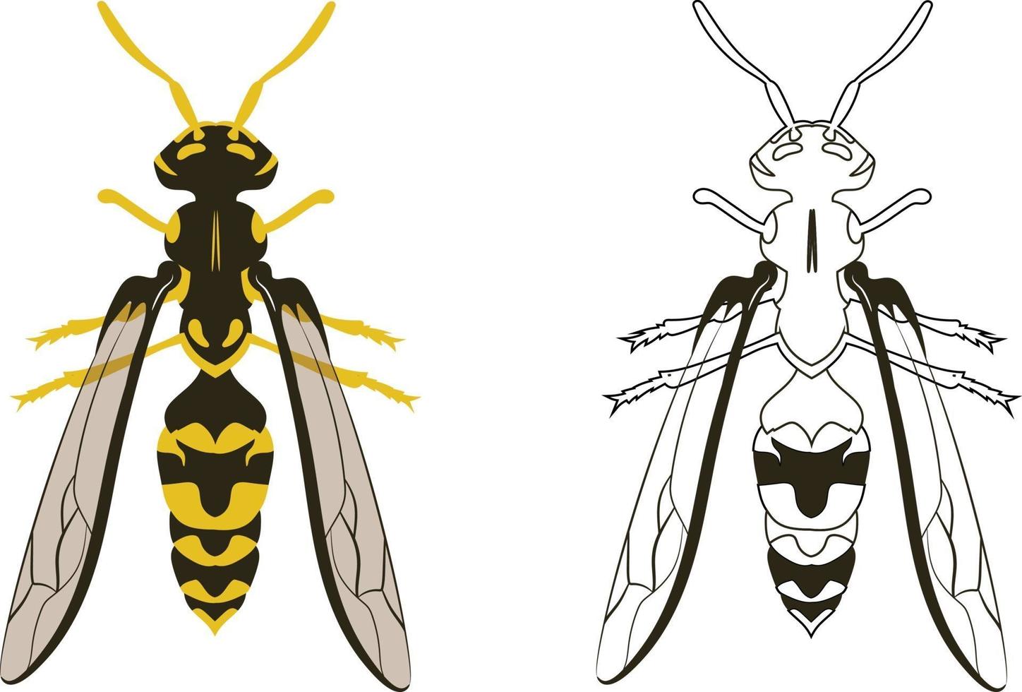 Ilustración de vector de avispa o avispón relleno y contorno