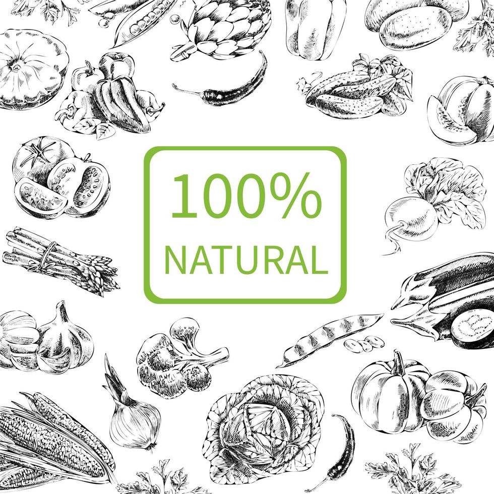 Hand-drawn vector illustration with vegetables. A sketch in a vintage style.  Design template.