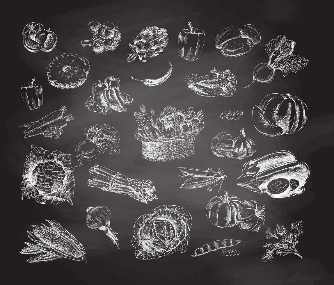 Vector hand-drawn vegetable Illustration. Vintage style food menu. Chalkboard.  Vintage sketch.