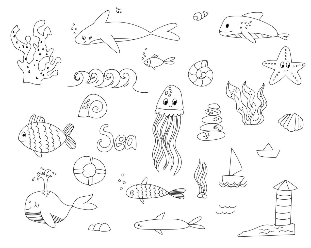 A large set of sea creatures and elements, icons. Marine theme drawn by contour, octopus, fish. a lifeline on the theme of the sea. Oceanic set for postcards, coloring books, stickers vector