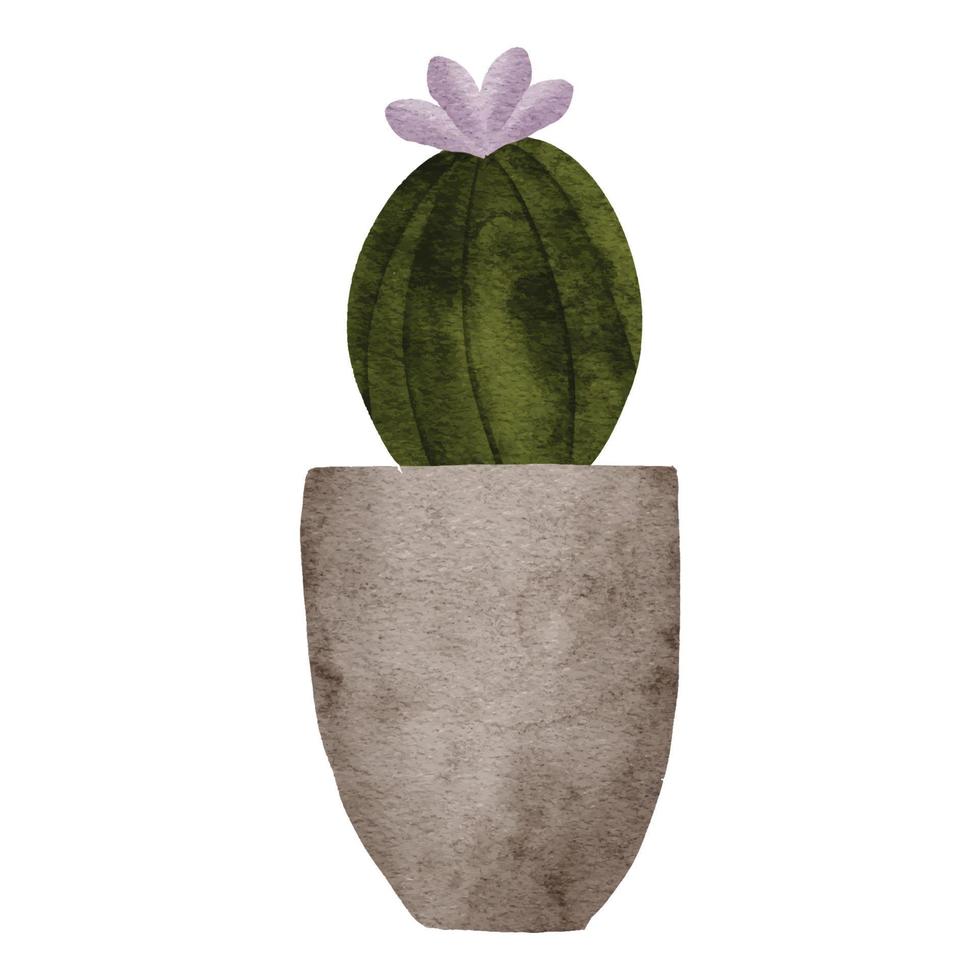 cactus flor maceta planta acuarela pintura ilustración vector