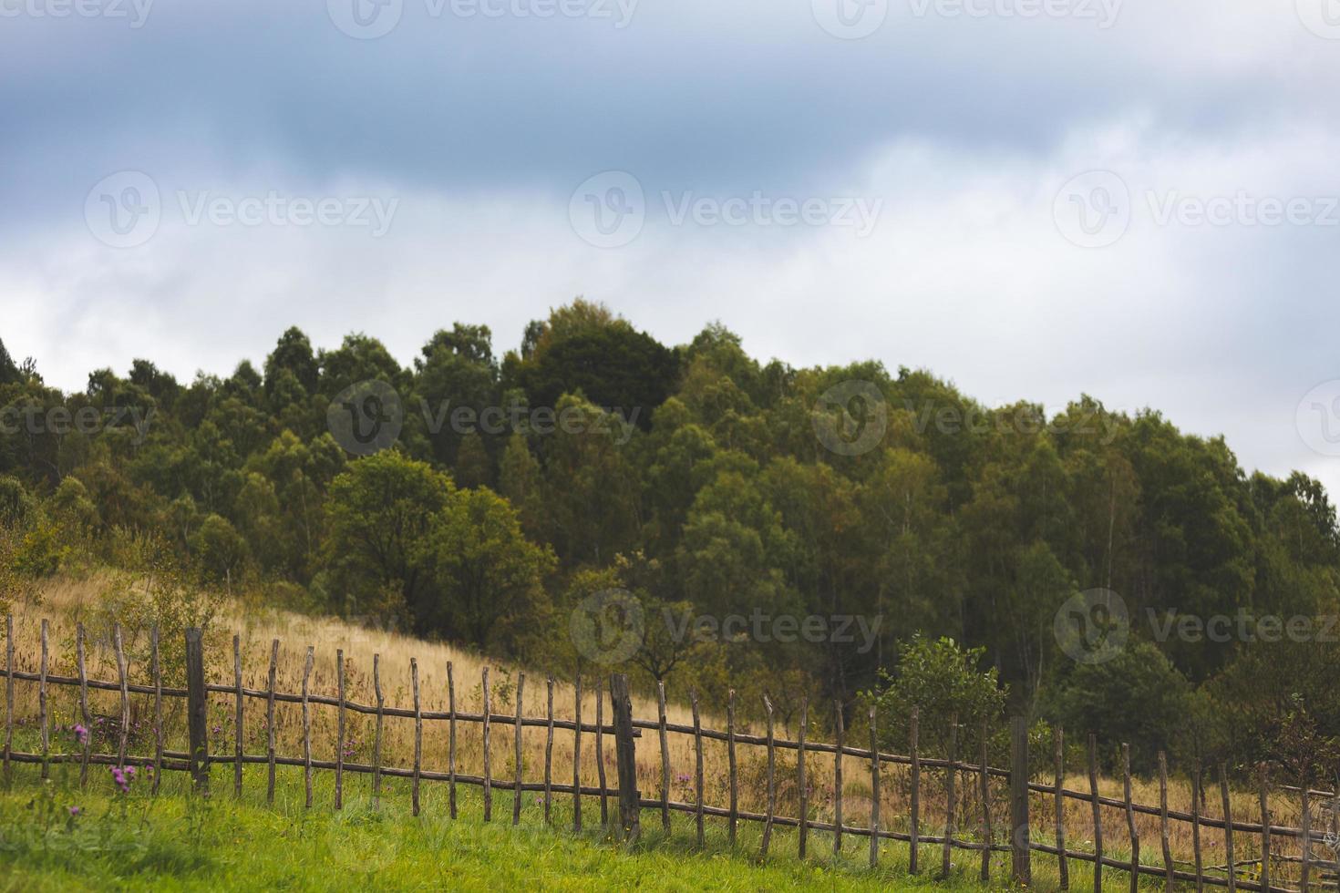 Autumn forest in cloudy weather photo