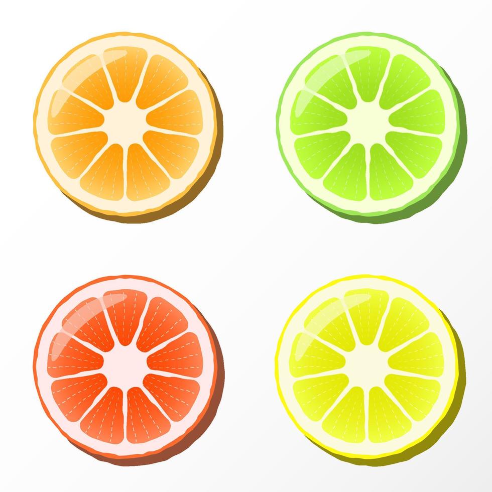 Orange slices illustration vector free