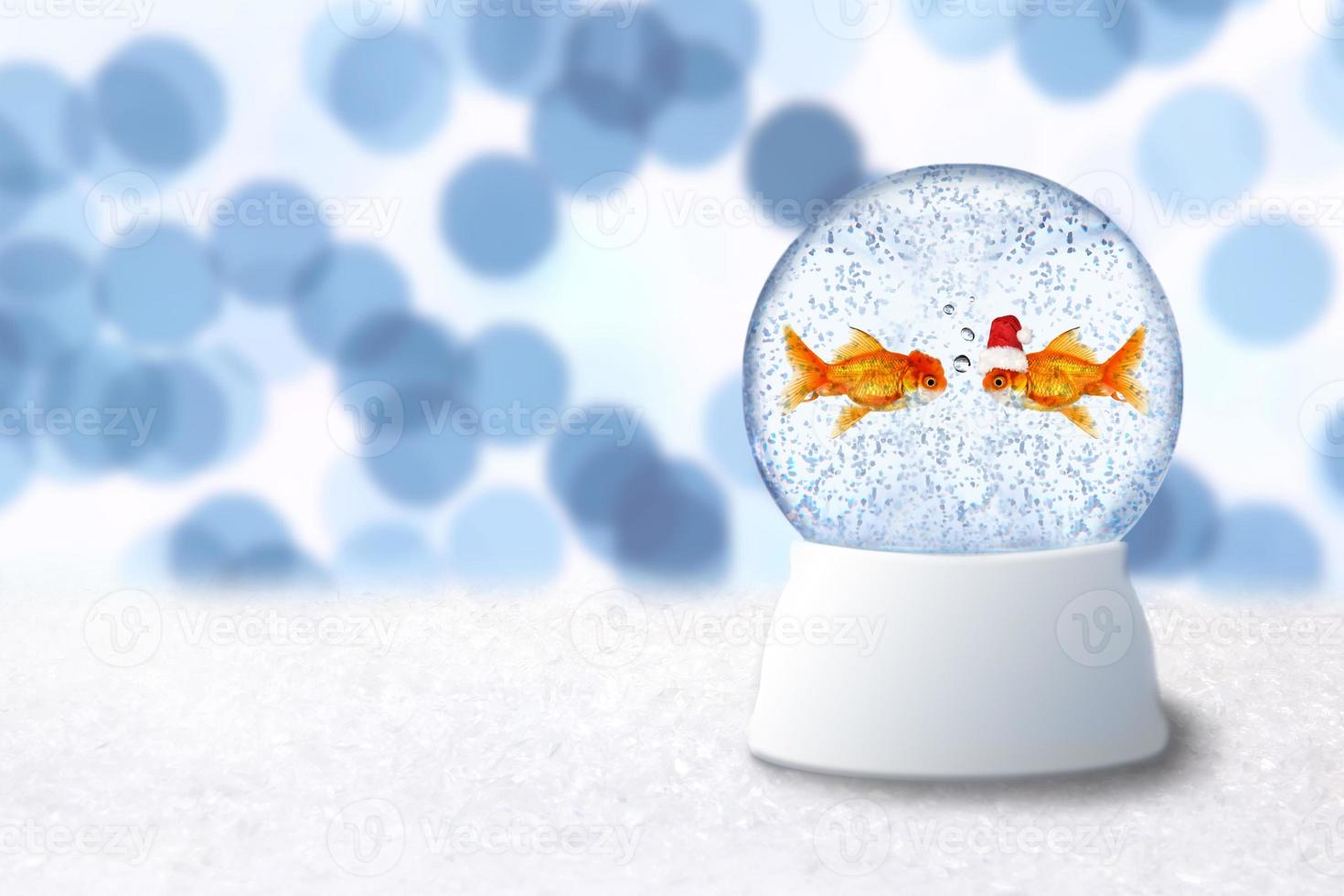 Bola de nieve navideña con peces de colores santa en el interior foto