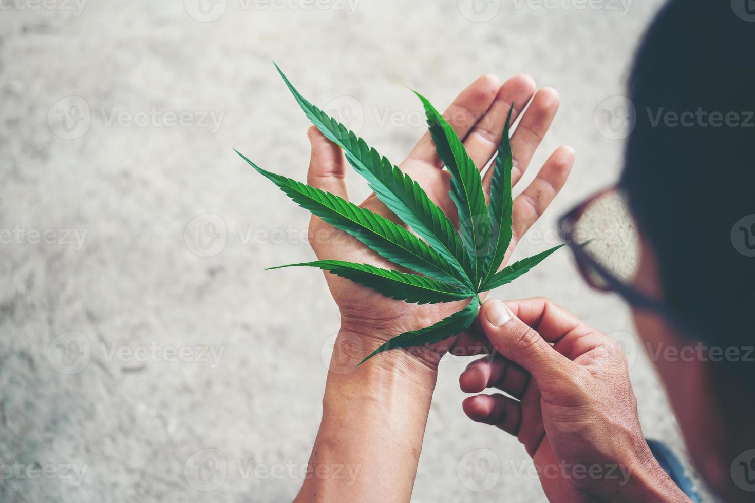 mano que sostiene la hoja de marihuana foto