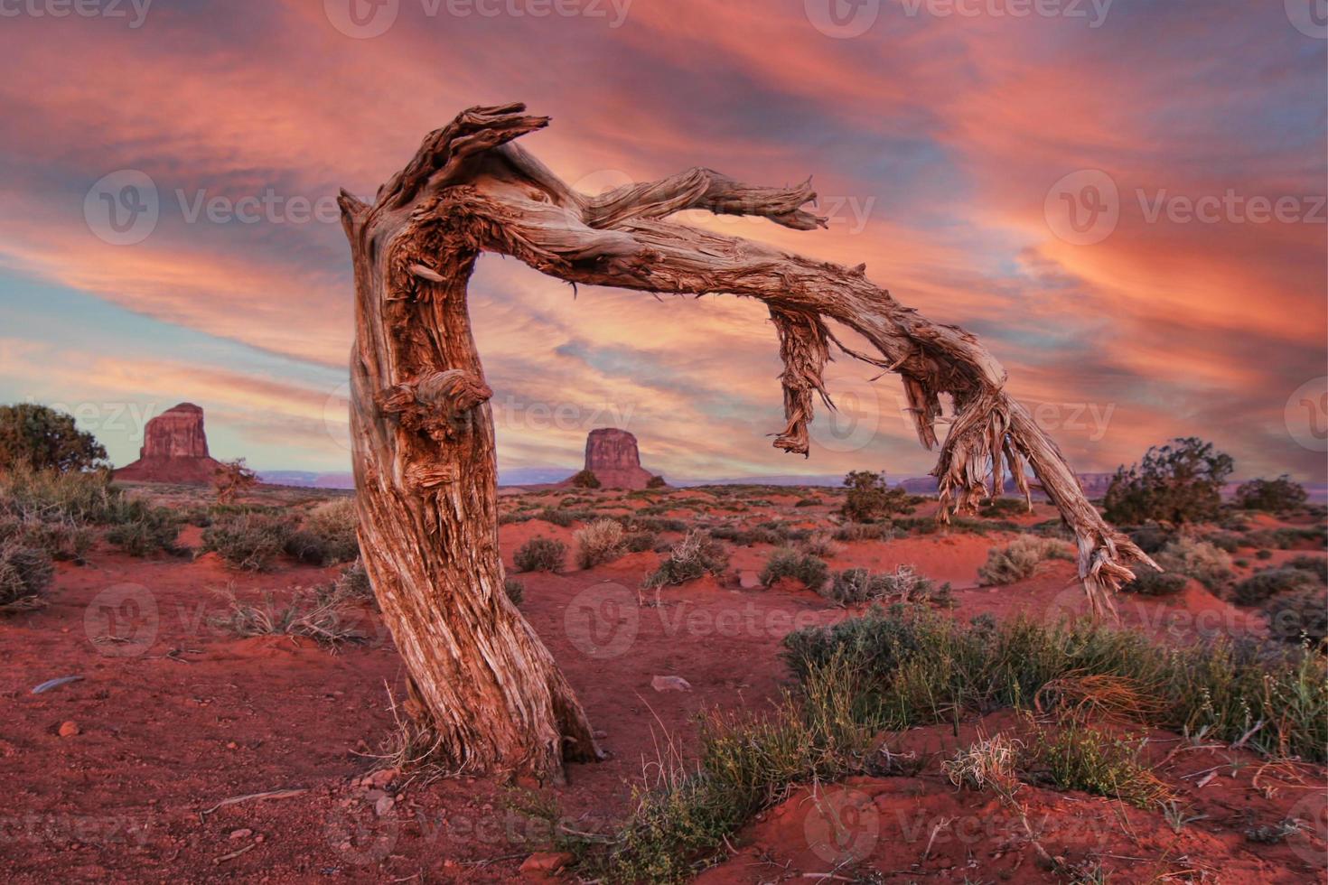 impresionante paisaje del valle del monumento foto