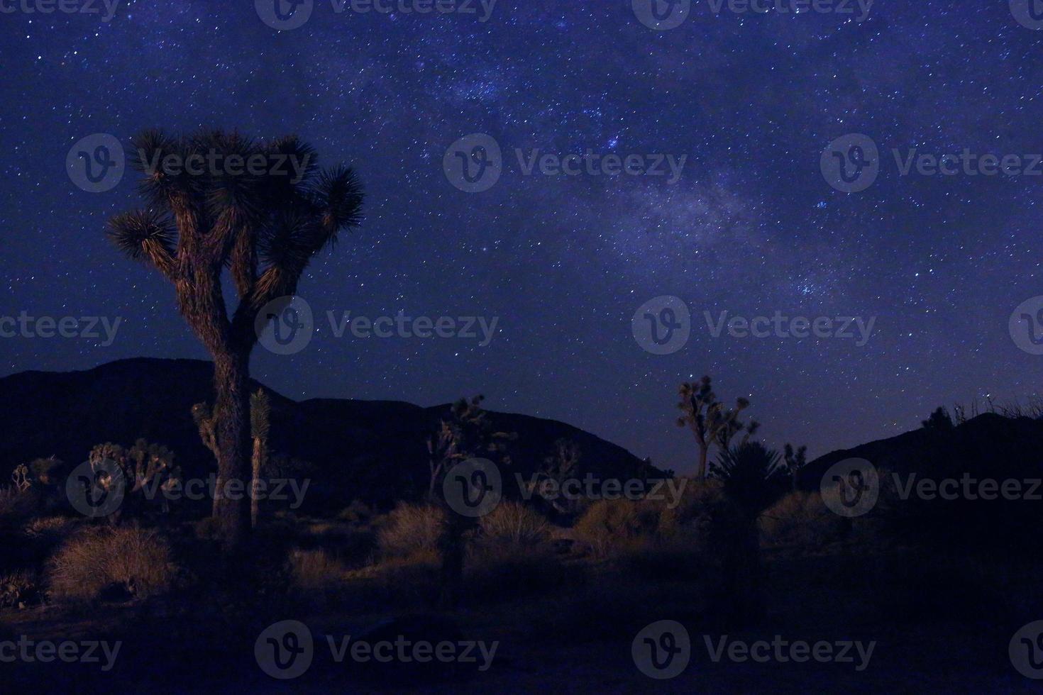 Light Painted Landscape of Camping and Stars photo