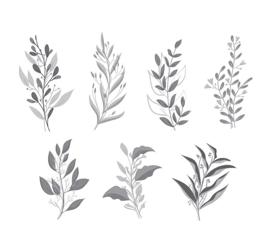 set of black and white monochrome leaves vector