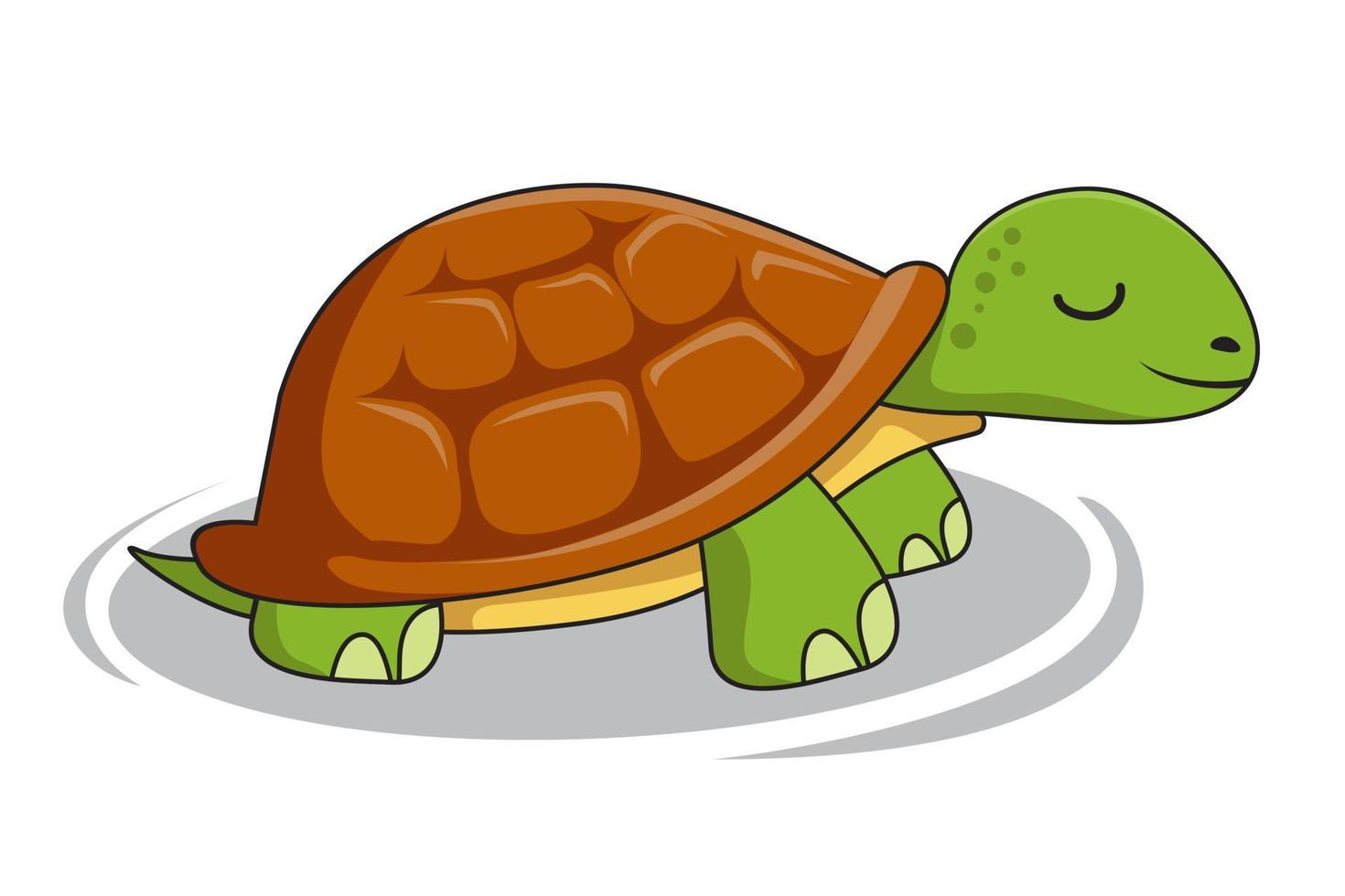 tortuga, caricatura, tortuga, ilustraciones vector