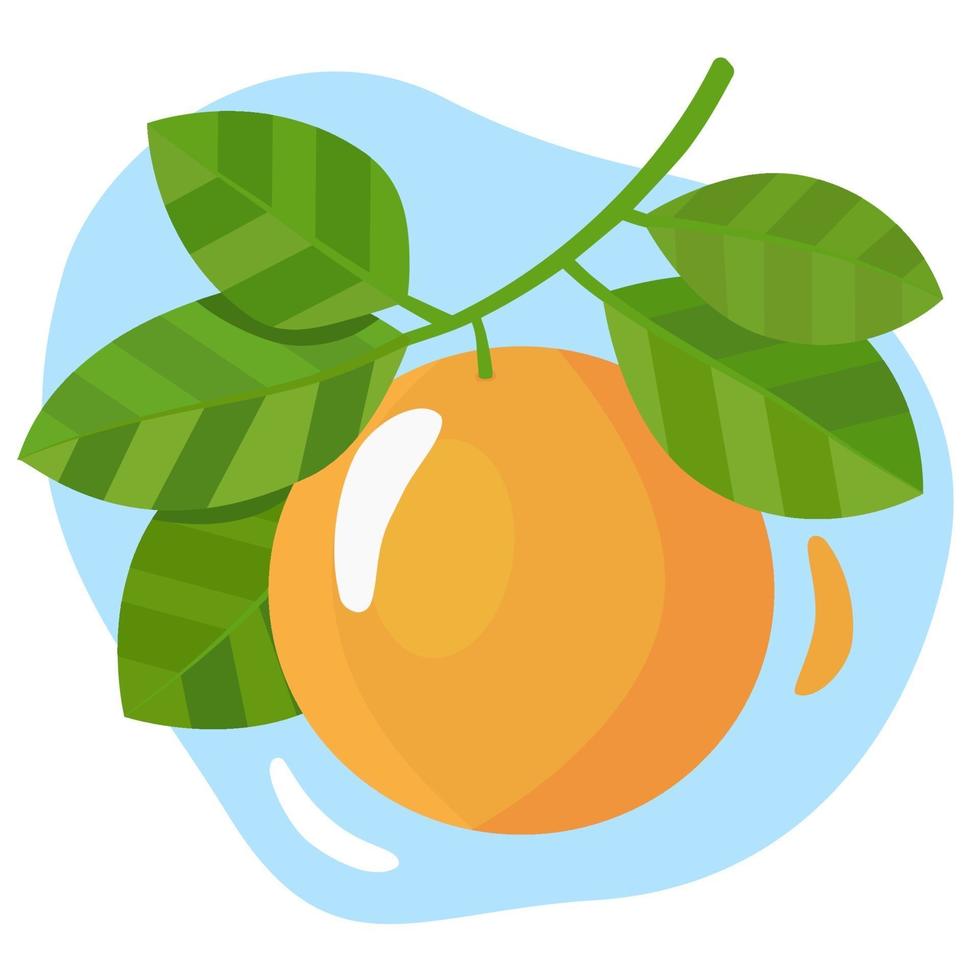 Ripe orange hanging on a branch with green leaves. Vector illustration on a white background with a blue shape