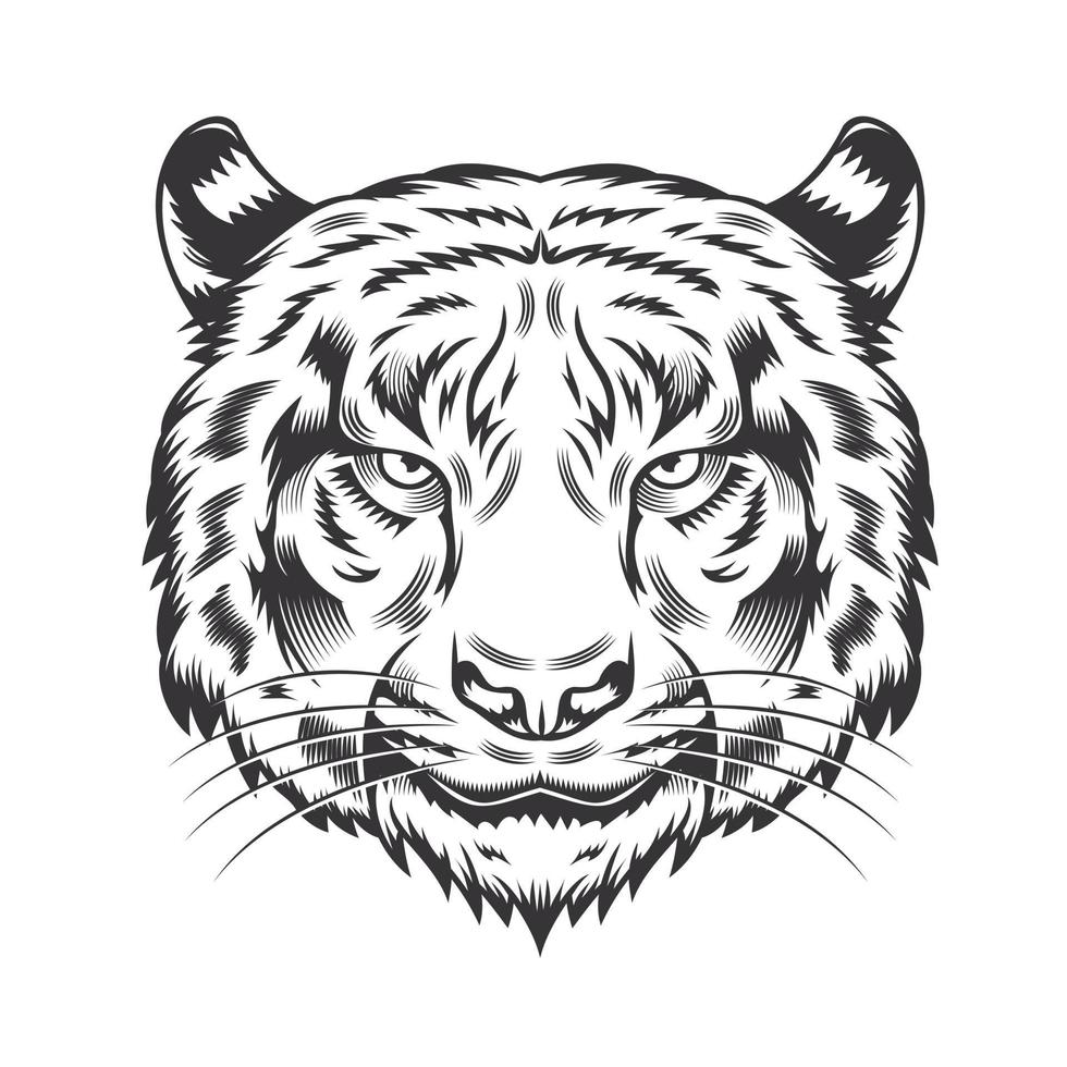 diseño de cabeza de tigre sobre fondo blanco. logotipos de arte de línea de cabeza de tigre. ilustración vectorial. vector